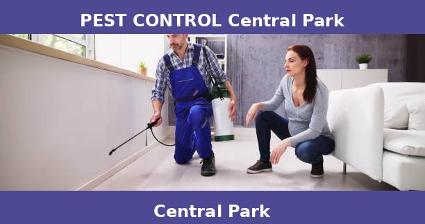 PEST CONTROL Central Park
